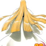 Bleach vol 36 Manga
