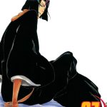 Bleach vol 37 Manga