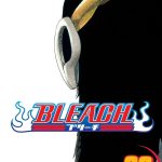 Bleach vol 39 Manga