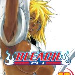 Bleach vol 42 Manga