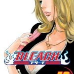 Bleach vol 46 Manga