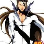 Bleach vol 48 Manga