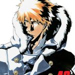 Bleach vol 49 Manga