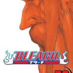 Bleach vol 58 Manga