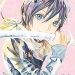 Noragami Stray God vol 13 Manga