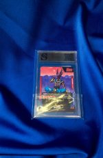 Dragon Ball Beerus ocjenjena kartica