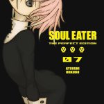 Soul Eater The Perfect Edition 07