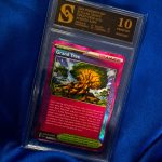Pokemon Grand Tree ocjenjena karta