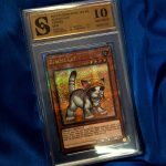 Yu-gi-oh Rescue Cat ocjenjena karta