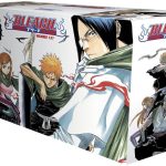 Bleach Box Set 1 (1-21 )