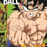 DRAGON BALL FULL COLOR VOLUME 2 MANGA