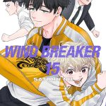 Wind Breaker,Vol.15