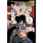 BLACK CLOVER VOL 11