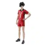 Haikyu Tetsuro Kuroo 20cm
