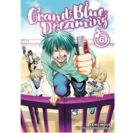 Grand Blue Dreaming Vol 6 manga
