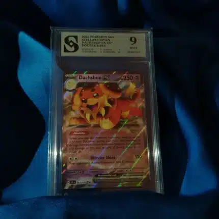 Pokemon Dachsbun Ex kolekcionarska ocjenjena karta